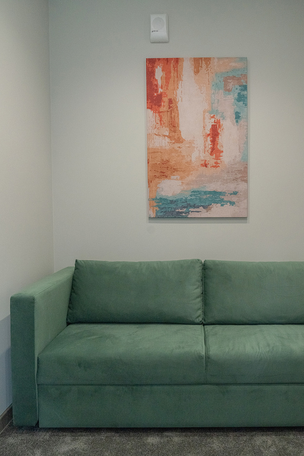 КРАСКИ DERUFA, КАРТИНЫ ПАРКЕ-ОТЕЛЕ ТРУБНИК ПО ПРОЕКТУНАТАЛЬИ БУРКОВОЙ, ЕКБ